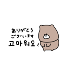 優しいお色のクマ＊韓国語（個別スタンプ：19）