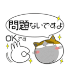 三毛猫★吹き出し 大人 敬語（個別スタンプ：21）