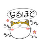 三毛猫★吹き出し 大人 敬語（個別スタンプ：31）