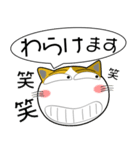 三毛猫★吹き出し 大人 敬語（個別スタンプ：32）
