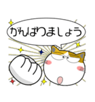 三毛猫★吹き出し 大人 敬語（個別スタンプ：33）