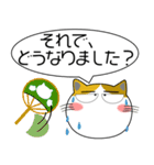 三毛猫★吹き出し 大人 敬語（個別スタンプ：37）