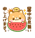 夏の気遣い♡豆柴日和（個別スタンプ：1）