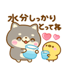 夏の気遣い♡豆柴日和（個別スタンプ：6）