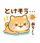 夏の気遣い♡豆柴日和（個別スタンプ：7）