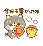 夏の気遣い♡豆柴日和（個別スタンプ：8）
