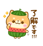 夏の気遣い♡豆柴日和（個別スタンプ：13）