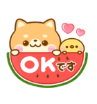 夏の気遣い♡豆柴日和（個別スタンプ：14）
