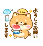 夏の気遣い♡豆柴日和（個別スタンプ：15）