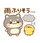 夏の気遣い♡豆柴日和（個別スタンプ：18）
