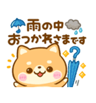 夏の気遣い♡豆柴日和（個別スタンプ：19）