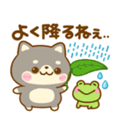 夏の気遣い♡豆柴日和（個別スタンプ：20）