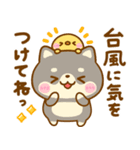 夏の気遣い♡豆柴日和（個別スタンプ：21）