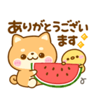 夏の気遣い♡豆柴日和（個別スタンプ：22）