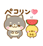 夏の気遣い♡豆柴日和（個別スタンプ：23）