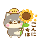 夏の気遣い♡豆柴日和（個別スタンプ：26）
