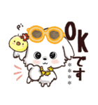 モコモコになりたいワンコ♡夏♡愛犬シロ（個別スタンプ：1）
