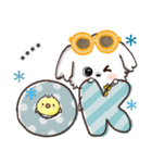 モコモコになりたいワンコ♡夏♡愛犬シロ（個別スタンプ：2）