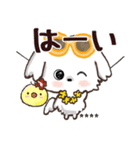 モコモコになりたいワンコ♡夏♡愛犬シロ（個別スタンプ：3）