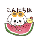 モコモコになりたいワンコ♡夏♡愛犬シロ（個別スタンプ：7）