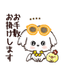 モコモコになりたいワンコ♡夏♡愛犬シロ（個別スタンプ：15）