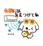 モコモコになりたいワンコ♡夏♡愛犬シロ（個別スタンプ：17）