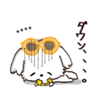 モコモコになりたいワンコ♡夏♡愛犬シロ（個別スタンプ：18）