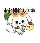 モコモコになりたいワンコ♡夏♡愛犬シロ（個別スタンプ：25）