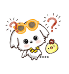 モコモコになりたいワンコ♡夏♡愛犬シロ（個別スタンプ：29）