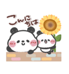 とっても使える❤パンダさん3 (夏・挨拶)（個別スタンプ：8）