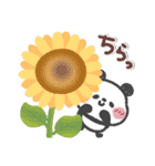 とっても使える❤パンダさん3 (夏・挨拶)（個別スタンプ：31）
