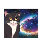 宇宙を感じるスタンプ -Feel The Universe-（個別スタンプ：4）