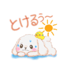 ベイビーうさぎさん「夏」（個別スタンプ：17）