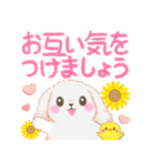 ベイビーうさぎさん「夏」（個別スタンプ：24）