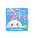 ベイビーうさぎさん「夏」（個別スタンプ：27）