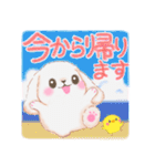 ベイビーうさぎさん「夏」（個別スタンプ：32）