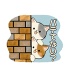 ほのぼの猫さん ♡ 夏のあるある（個別スタンプ：5）