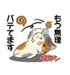 ほのぼの猫さん ♡ 夏のあるある（個別スタンプ：7）