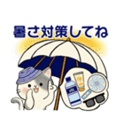 ほのぼの猫さん ♡ 夏のあるある（個別スタンプ：9）