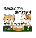 ほのぼの猫さん ♡ 夏のあるある（個別スタンプ：13）