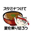 ほのぼの猫さん ♡ 夏のあるある（個別スタンプ：15）