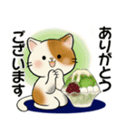 ほのぼの猫さん ♡ 夏のあるある（個別スタンプ：21）