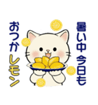 ほのぼの猫さん ♡ 夏のあるある（個別スタンプ：25）