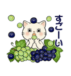 ほのぼの猫さん ♡ 夏のあるある（個別スタンプ：30）