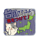 ほのぼの猫さん ♡ 夏のあるある（個別スタンプ：33）