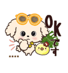 モコモコになりたいワンコ♡夏♡トイプー（個別スタンプ：1）