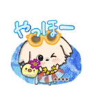 モコモコになりたいワンコ♡夏♡トイプー（個別スタンプ：13）