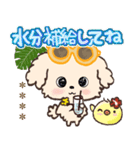 モコモコになりたいワンコ♡夏♡トイプー（個別スタンプ：20）