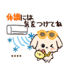 モコモコになりたいワンコ♡夏♡トイプー（個別スタンプ：24）
