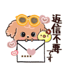 モコモコになりたいワンコ♡夏♡トイプー（個別スタンプ：37）